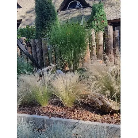 Sea Air Comfortable 度假居 Karlshagen